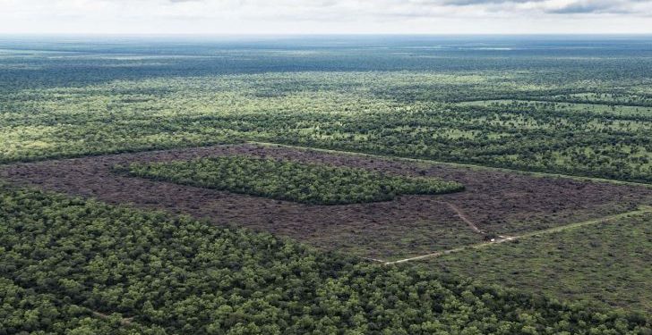 Uruguay invierte en el Chaco paraguayo