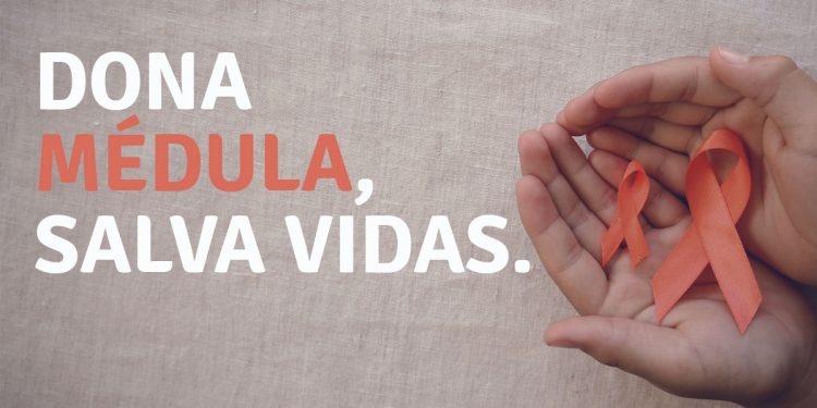 Profesionales buscan incentivar a la donación de médula ósea