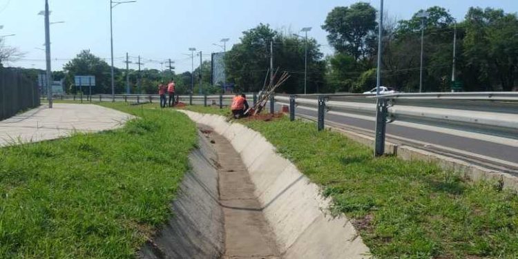MOPC amplía sistema lumínico solar en la Autopista Ñu Guasú MOPC amplía sistema lumínico solar en la Autopista Ñu Guasú