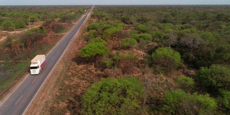 El lunes se recibirán las ofertas del Lote 7 de la Transchaco