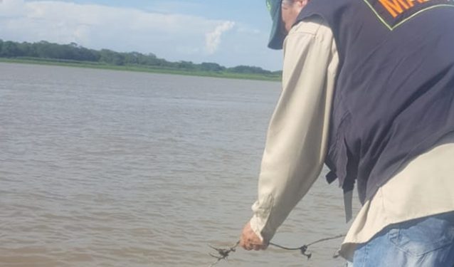 Decomisan importante cantidad de espineles en el Río Paraguay
