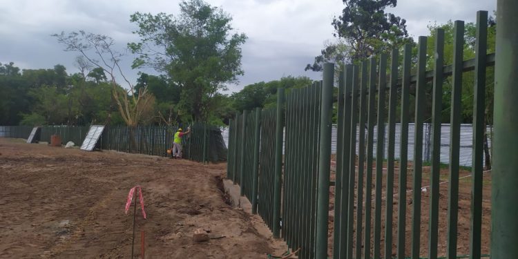 Prosigue Corredor Vial Botánico con 56 pilotes construidos