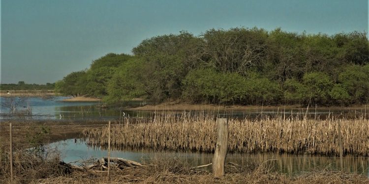 Sábado caluroso y con altas probabilidades de lluvias intensas