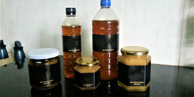 Tres claves que hacen del Pilcomayo una cuenca para la producción de miel