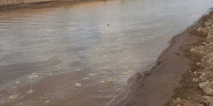 Alerta amarilla por crecida del Pilcomayo en zona de Villamontes