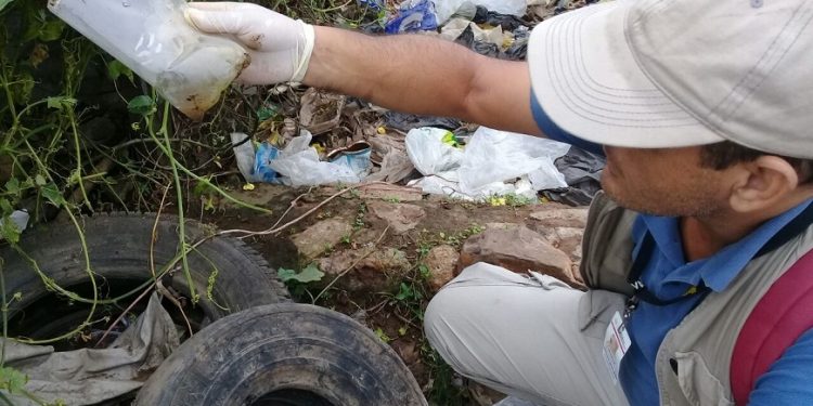 Dengue: Seneperos lamentan indiferencia de ciudadanía para eliminar criaderos