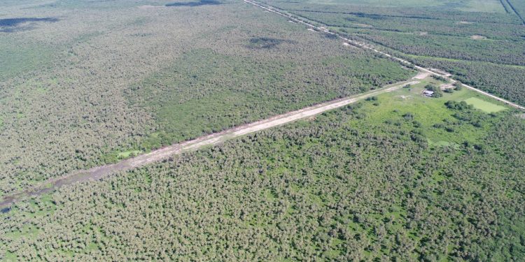 SENAD incautó 300 kg de cocaína en pista de aterrizaje del Chaco