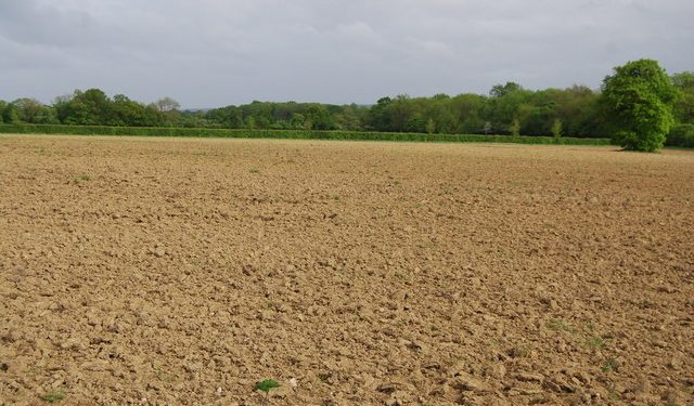 Preparan taller sobre producción sostenible de cultivos en verano Preparan taller sobre producción sostenible de cultivos en verano