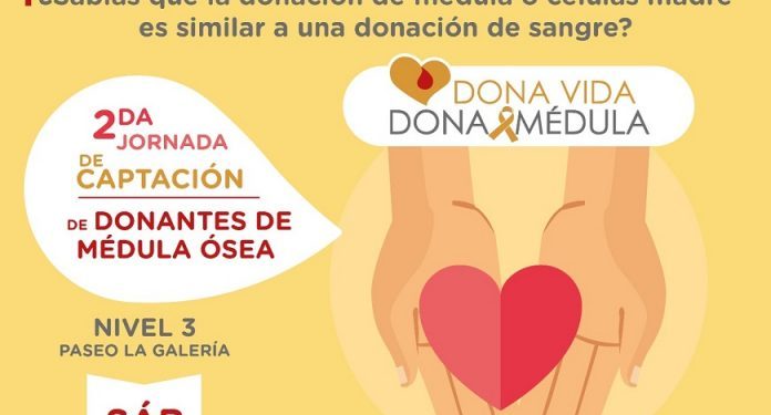 Donación de médula ósea puede ser ¡tu mejor regalo de Navidad!