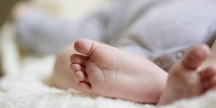 Chaco recibe leche para recién nacidos Chaco recibe leche para recién nacidos