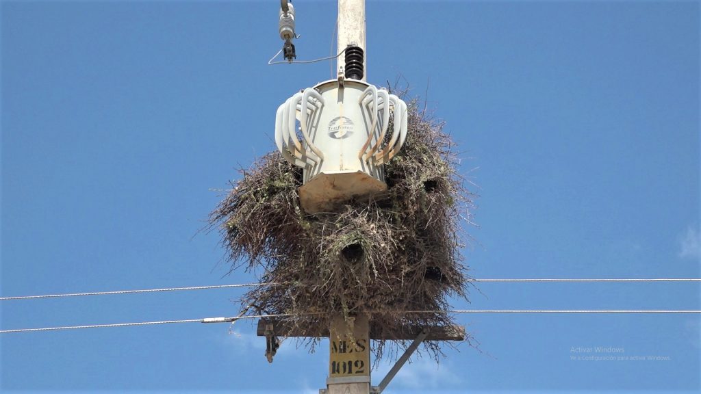 Pobladores reclaman cortes constantes de electricidad de la ANDE