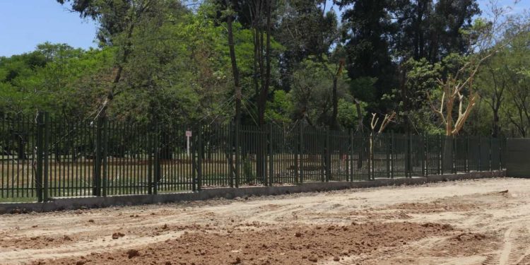 Liberan calzada para dársena de colectivos en la Av. Primer Presidente
