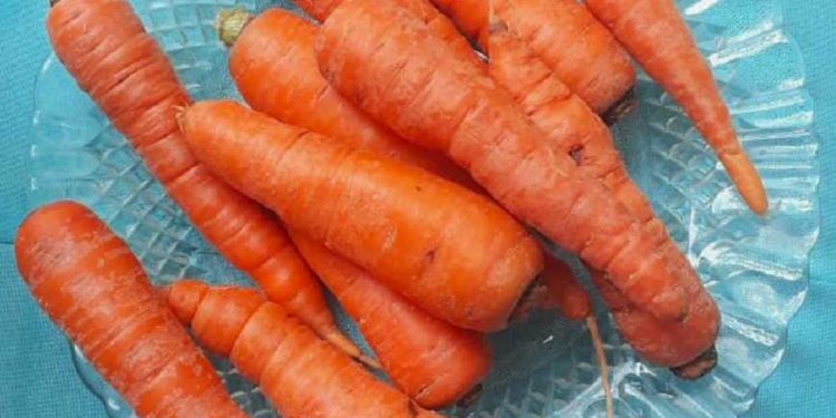 Estilo de vida saludable para evitar métodos farmacológicos Estilo de vida saludable para evitar métodos farmacológicos