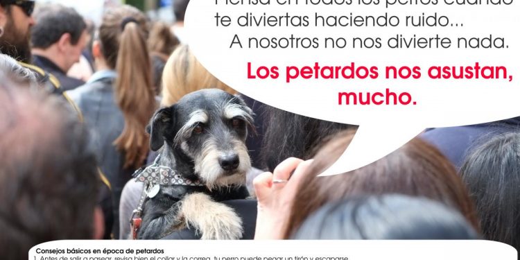 Consejos para calmar a los perros en época de petardos Consejos para calmar a los perros en época de petardos
