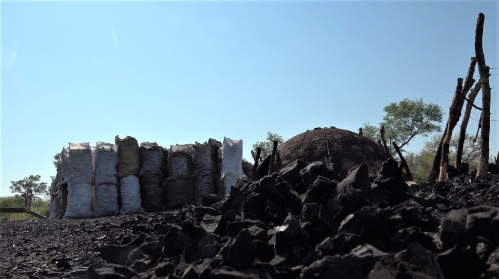 Carbonerías en el Chaco: Transformar en energía el árbol derribado Carbonerías en el Chaco: Transformar en energía el árbol derribado