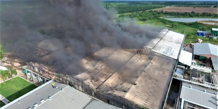 Frigochorti resurge de las cenizas y vuelve a estabilizar su producción