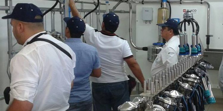 Aúnan esfuerzos para el fortalecimiento del sector lácteo Aúnan esfuerzos para el fortalecimiento del sector lácteo