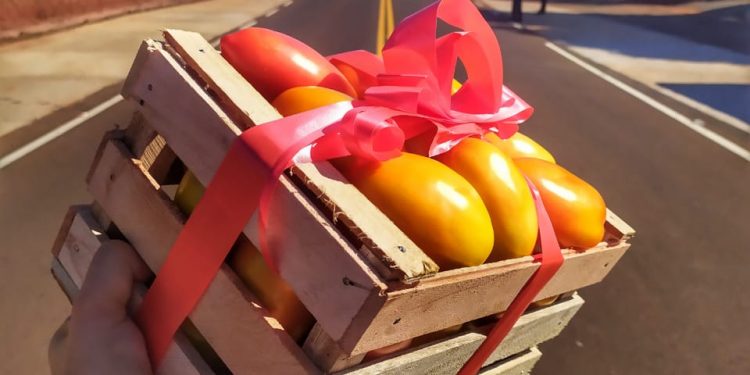 La Capital del Tomate arrancará el 2020 con 17 km más de nuevo asfaltado La Capital del Tomate arrancará el 2020 con 17 km más de nuevo asfaltado