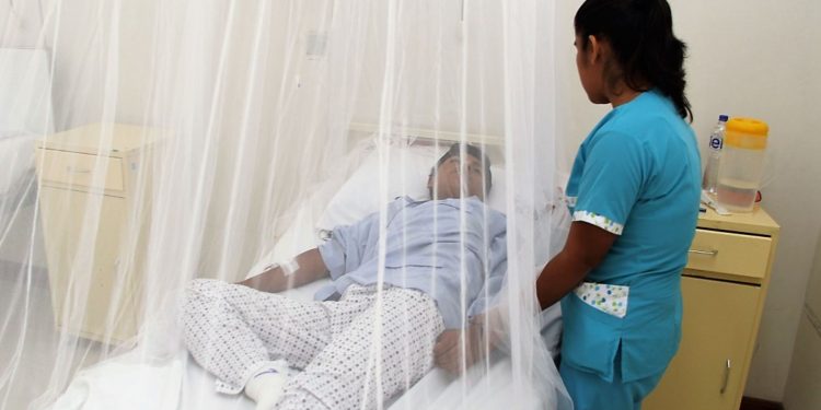 Médicos advierten que la automedicación puede agravar cuadros de Dengue