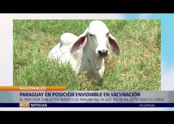 POSICIÓN ENVIDIABLE EN VACUNACIÓN CONTRA FIEBRE