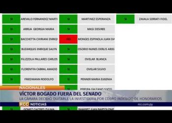 VÍCTOR BOGADO ECHADO  DEL SENADO