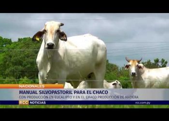 MANUAL SILVOPASTORIL PARA EL CHACO