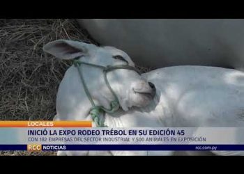 INICIÓ LA EXPO RODEO TRÉBOL 2019