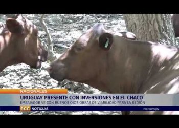 URUGUAY PRESENTE CON INVERSIONES EN EL CHACO
