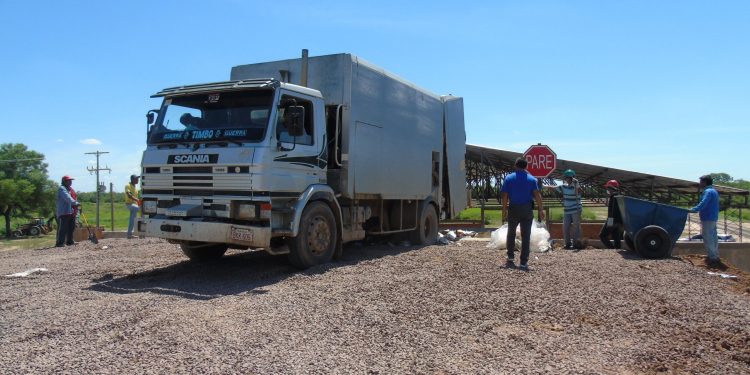Loma Plata: Zonas rurales del distrito tienen prohibido quemar basuras Loma Plata: Zonas rurales del distrito tienen prohibido quemar basuras