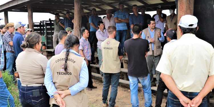Vacunadores chaqueños se capacitan para inicio del primer periodo