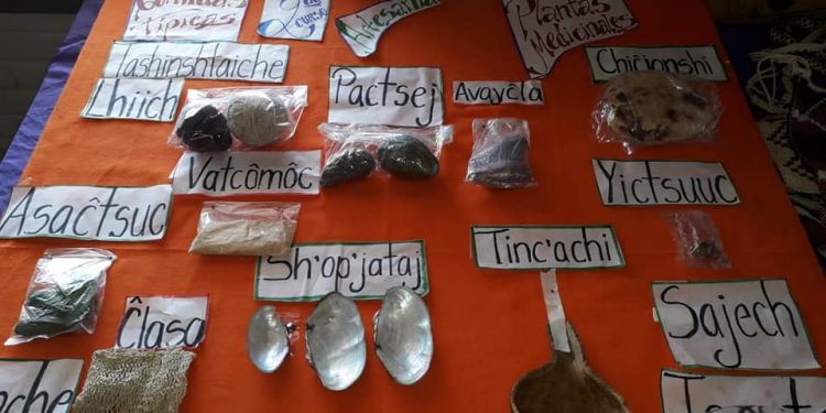 Comunidad indígena busca conservar su lengua materna a través de la educación Comunidad indígena busca conservar su lengua materna a través de la educación