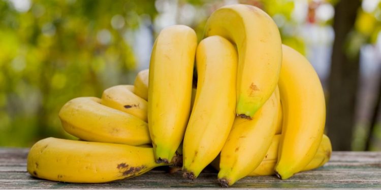 Paraguay y Chile potencian su relacionamiento comercial