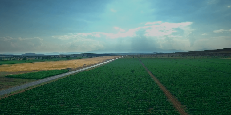 Catastro estableció los nuevos valores fiscales para el presente año