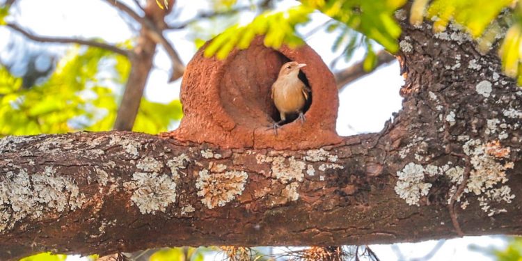Se espera un martes extremadamente caluroso y con chaparrones