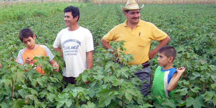 Protección Social del Gobierno pretende alcanzar al Chaco Protección Social del Gobierno pretende alcanzar al Chaco
