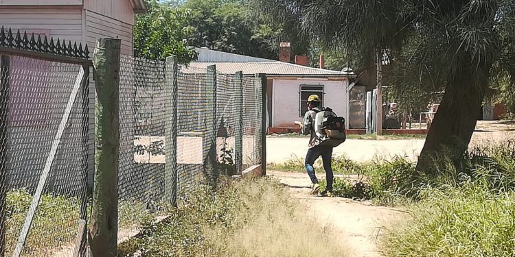 Senepa continúa con las mingas ambientales en Boquerón Senepa continúa con las mingas ambientales en Boquerón