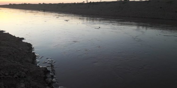 El Pilcomayo discurre sin problemas en canal paraguayo El Pilcomayo discurre sin problemas en canal paraguayo