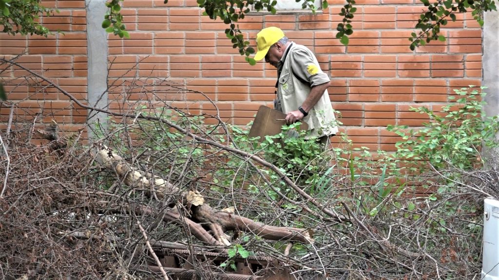 Epidemia de Dengue: Municipalidad de Filadelfia emplaza a propietarios de terrenos Epidemia de Dengue: Municipalidad de Filadelfia emplaza a propietarios de terrenos
