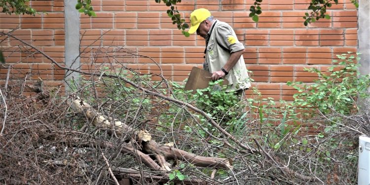Epidemia de Dengue: Municipalidad de Filadelfia emplaza a propietarios de terrenos