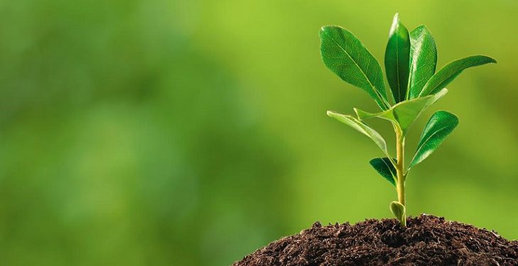 MADES: Gestiones ambientales serán completamente en línea desde este año