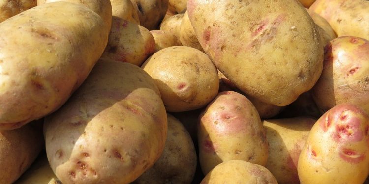 MAG logra aumentar en 7% la producción de cuatro rubros durante 2019