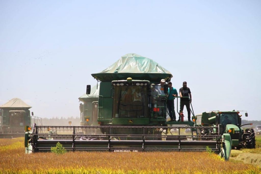 Presidente ratifica apuesta al sector productivo durante inicio de cosecha de arroz