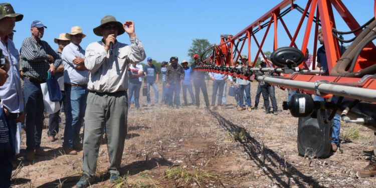 Invitan a productores chaqueños para un taller sobre cultivos de verano sostenibles Invitan a productores chaqueños para un taller sobre cultivos de verano sostenibles