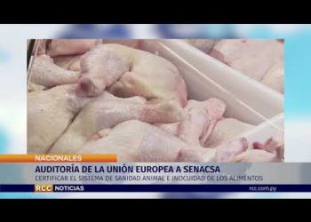 AUDITORÍA DE LA UNIÓN EUROPEA A SENACSA