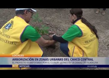 Arborización en zonas urbanas del Chaco Central