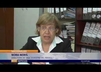 PÉRDIDA DE FLORA Y FAUNA POR INCENDIOS EN EL PARQUE GUASU