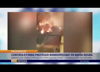 CONTROLES PARA PROTEGER BIODIVERSIDAD EN BAHÍA NEGRA