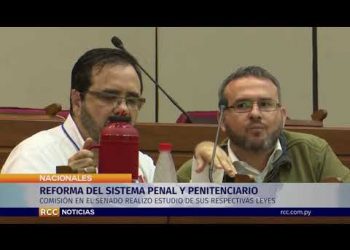 REFORMA DEL SISTEMA PENAL Y PENITENCIARIO