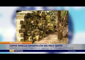 CUPOS PARA LA EXPORTACIÓN DEL PALO SANTO