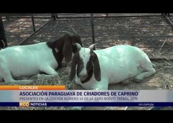 Asociación Paraguaya de Criadores de Caprino